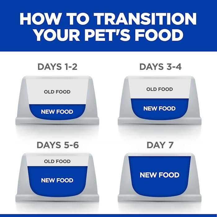 Prescription Diet Kidney Care Dog Food H38245