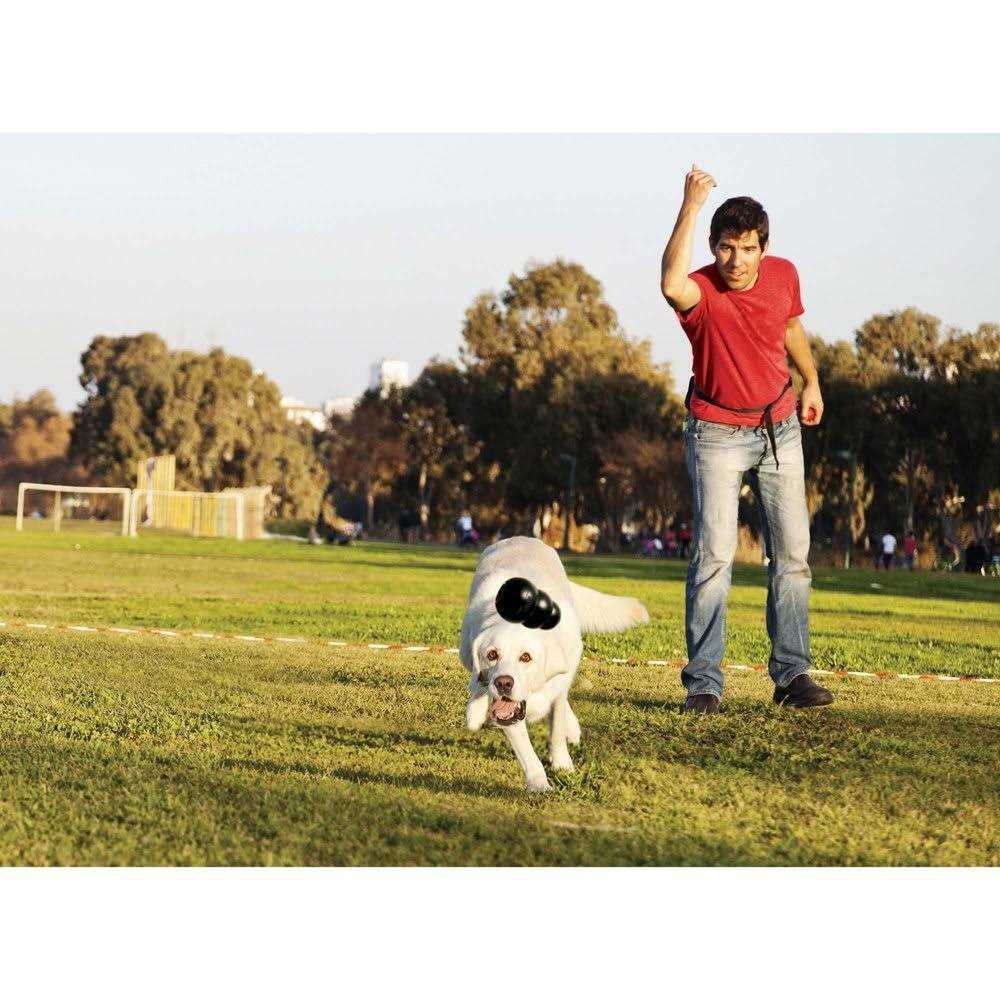 KONG Dog Toy B1646