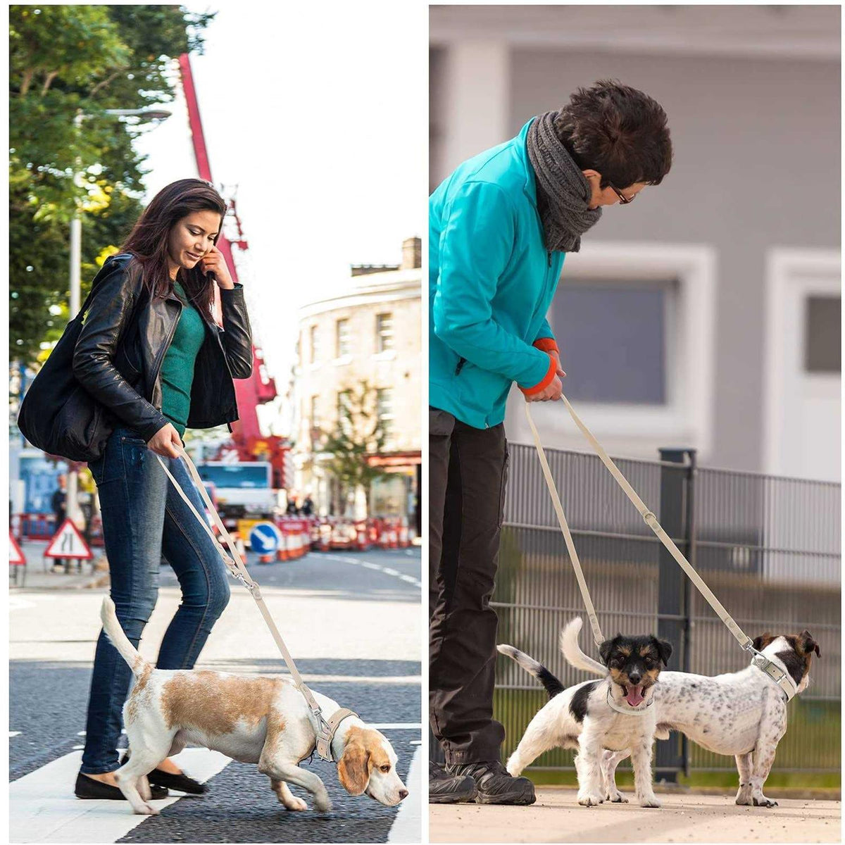 Waterproof Dog Leash with 2 Hooks F674539