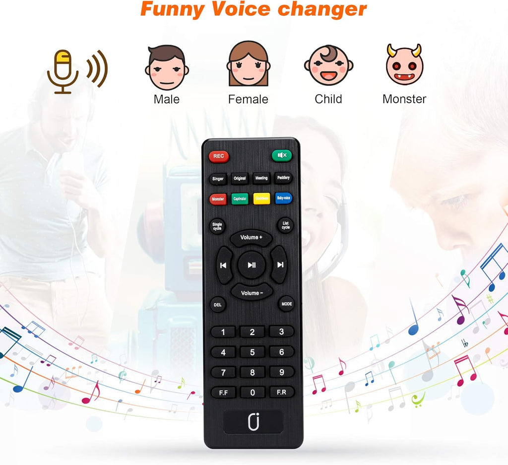 Rechargeable Portable Bluetooth Karaoke Machine with Microphone H1342