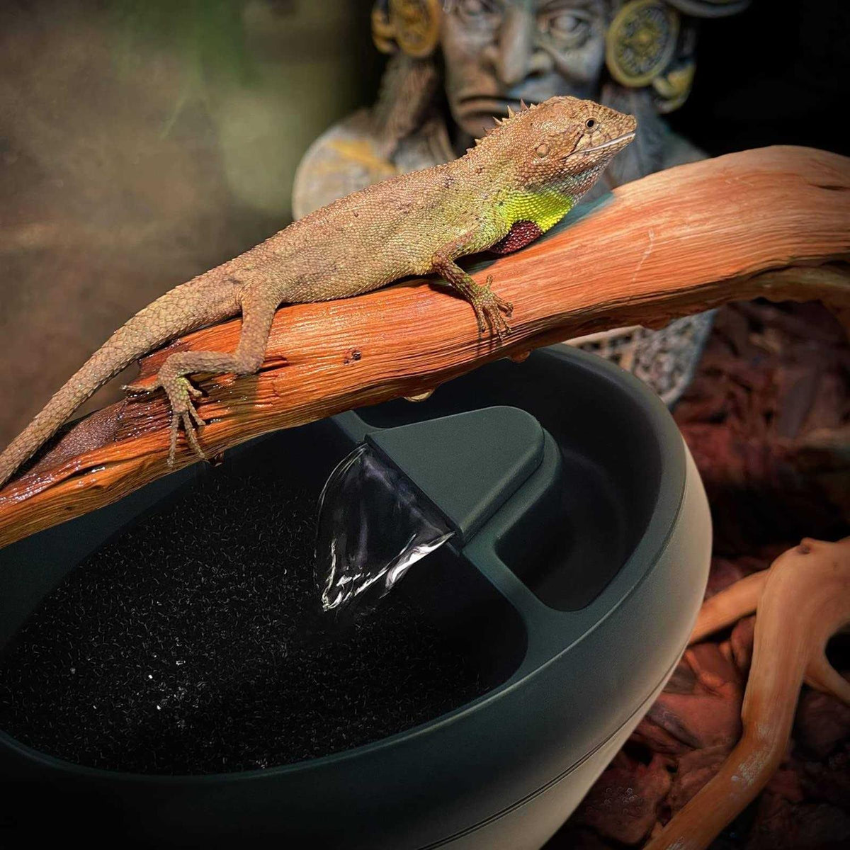 Reptile Drinking Water Fountain with Trough J163