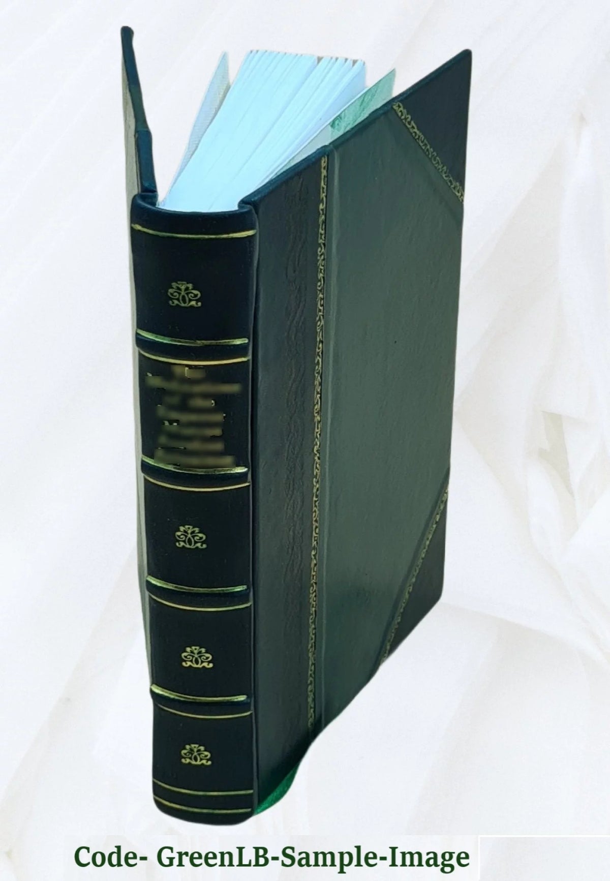 Britain's Lost Centuries Leather Bound E734