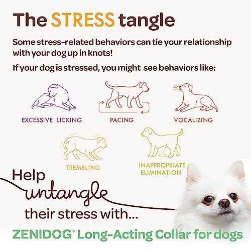 Long-acting Collar Medium/large E34921