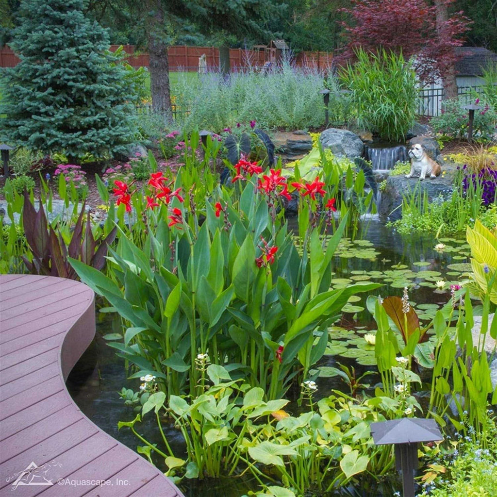 Pond Plant Potting Media J194160