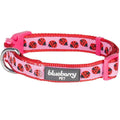 Dog Collar R44919