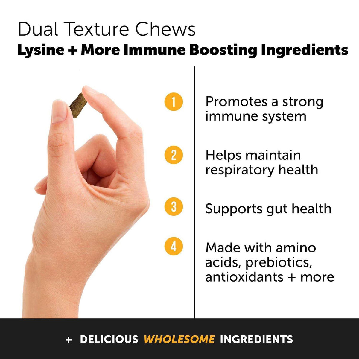 Cat Immune Support Lysine Chews Y70120
