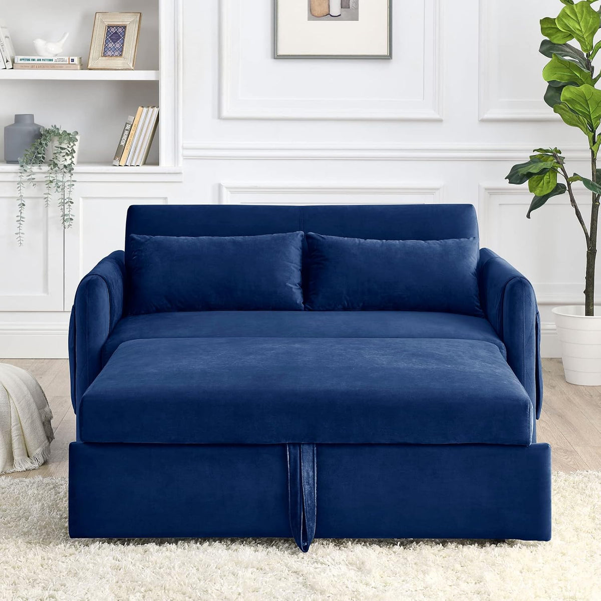 55" Velvet Convertible Sleeper Sofa with Pull Out Bed R4307