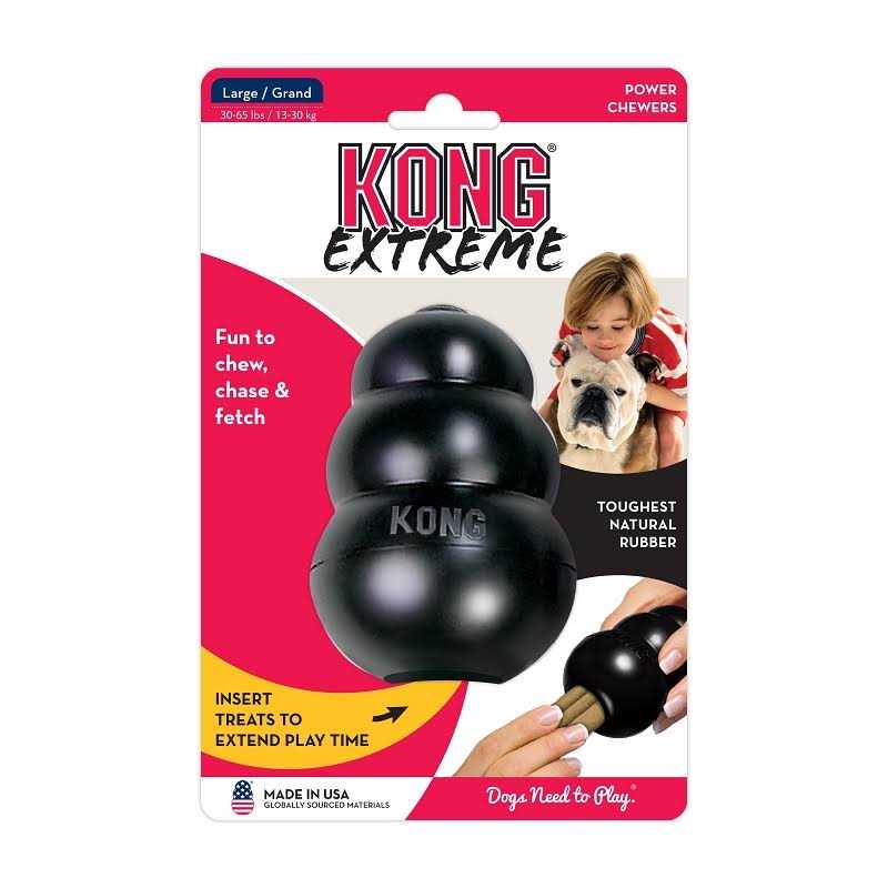 KONG Dog Toy B1646
