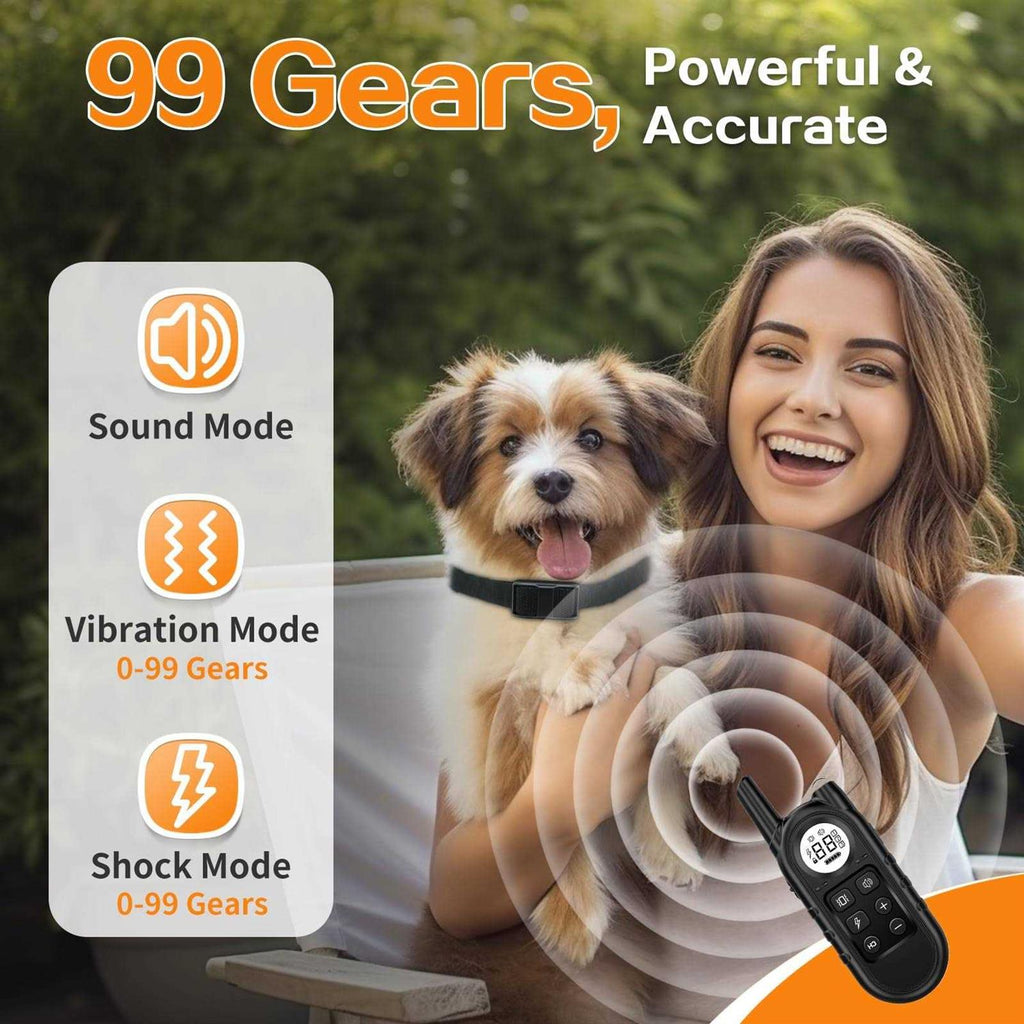 Dog Training Collar with Remote I862