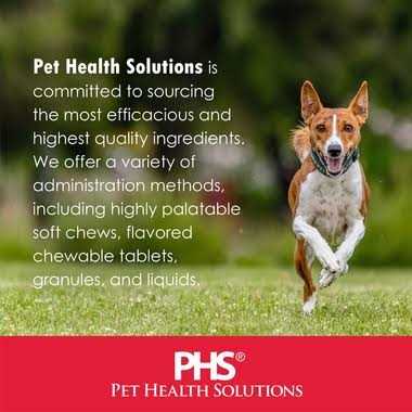 1-TDC Periodontal Dog & Cat Supplement O532