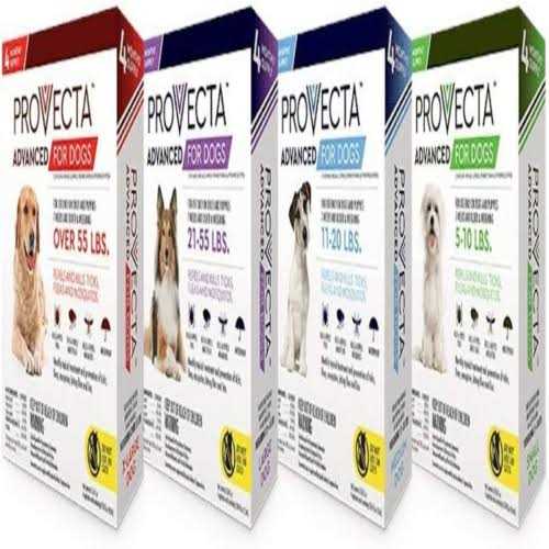 Advanced 4 Doses for Dogs H254