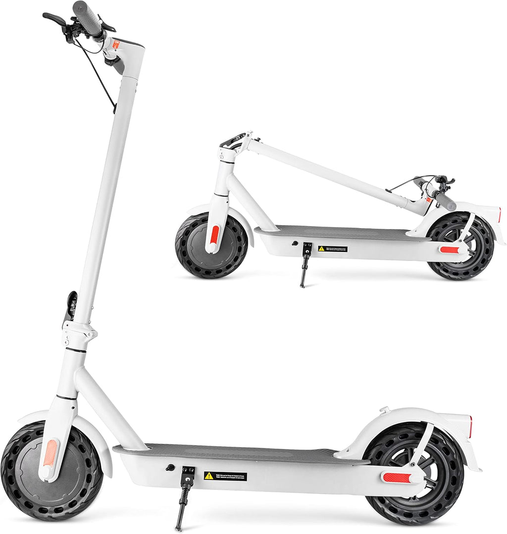 10'' Electric Scooter with 350W Motor M11171