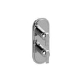 Polished Chrome Two Hole Vertical Trim Plate with Lever Handles D53269