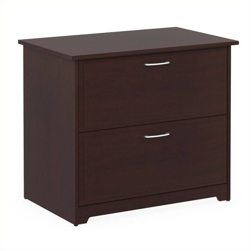 2 Drawer Lateral File Cabinet in Harvest Cherry D94268
