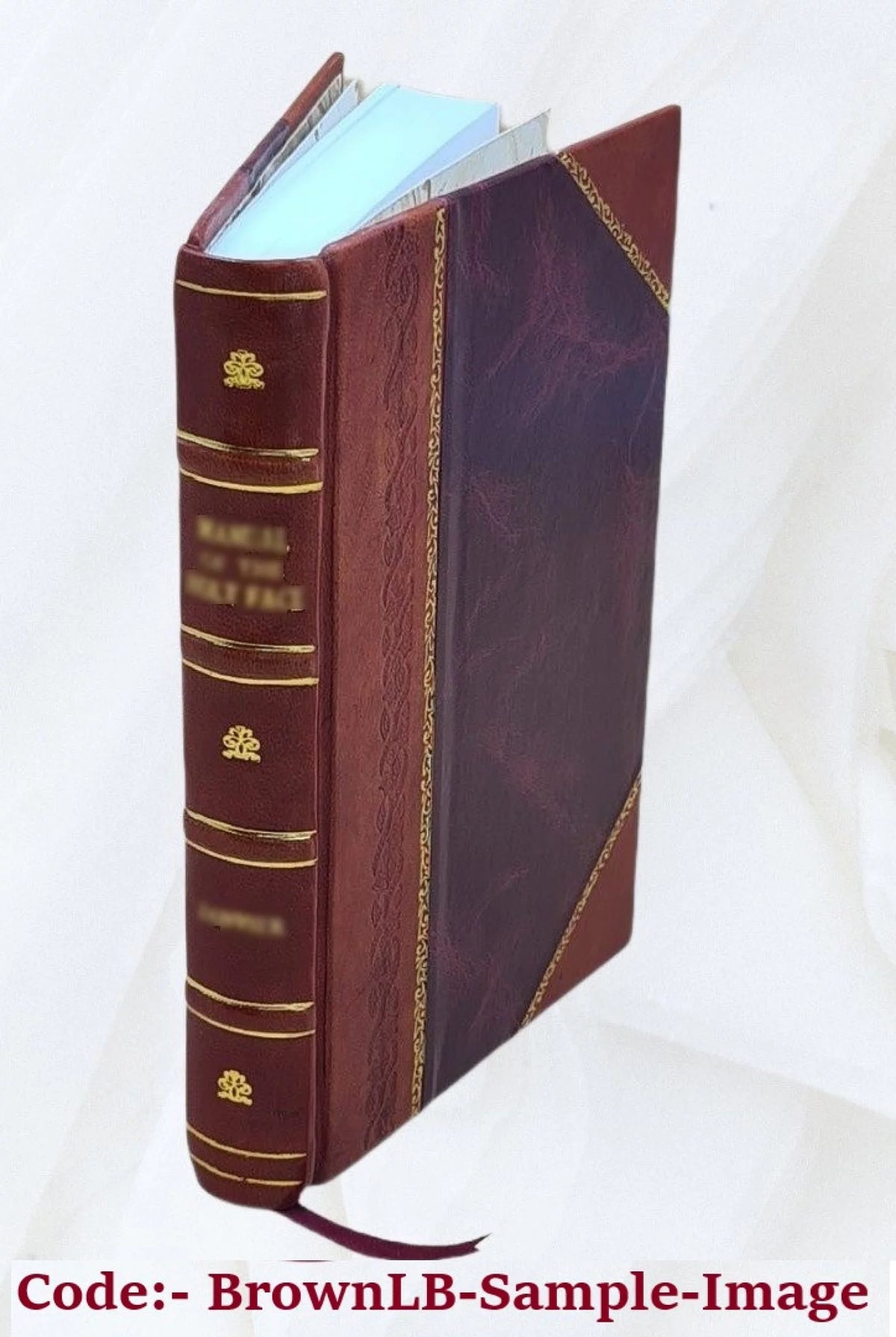 Britain's Lost Centuries Leather Bound E734