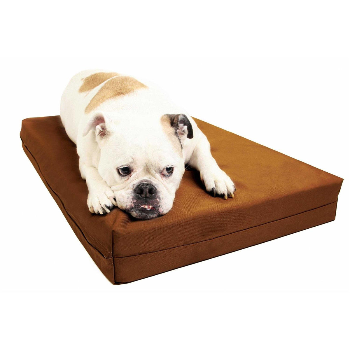 Orthopedic Crate Bed P94543