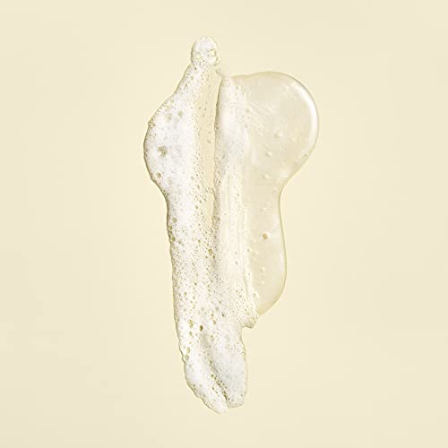 Shampoo and Conditioner Travel Bundle A407017