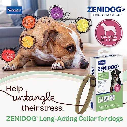 Long-acting Collar Medium/large E34921