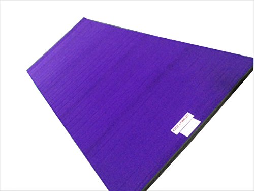 5'x10'x1-3/8" Carpeted Gymnastics Mat A7910