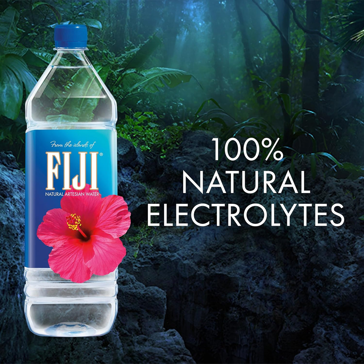 Natural Artesian Bottled Water 1.5 Liters / 50.7 Fl Ounce (Pack of 12) B399150