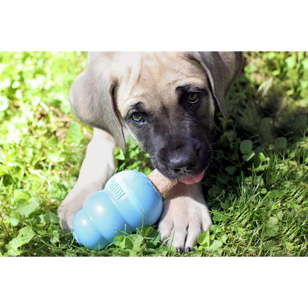 Pet Supplies Z400009