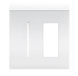 2 Gang Bright Brass Faceplate R121431