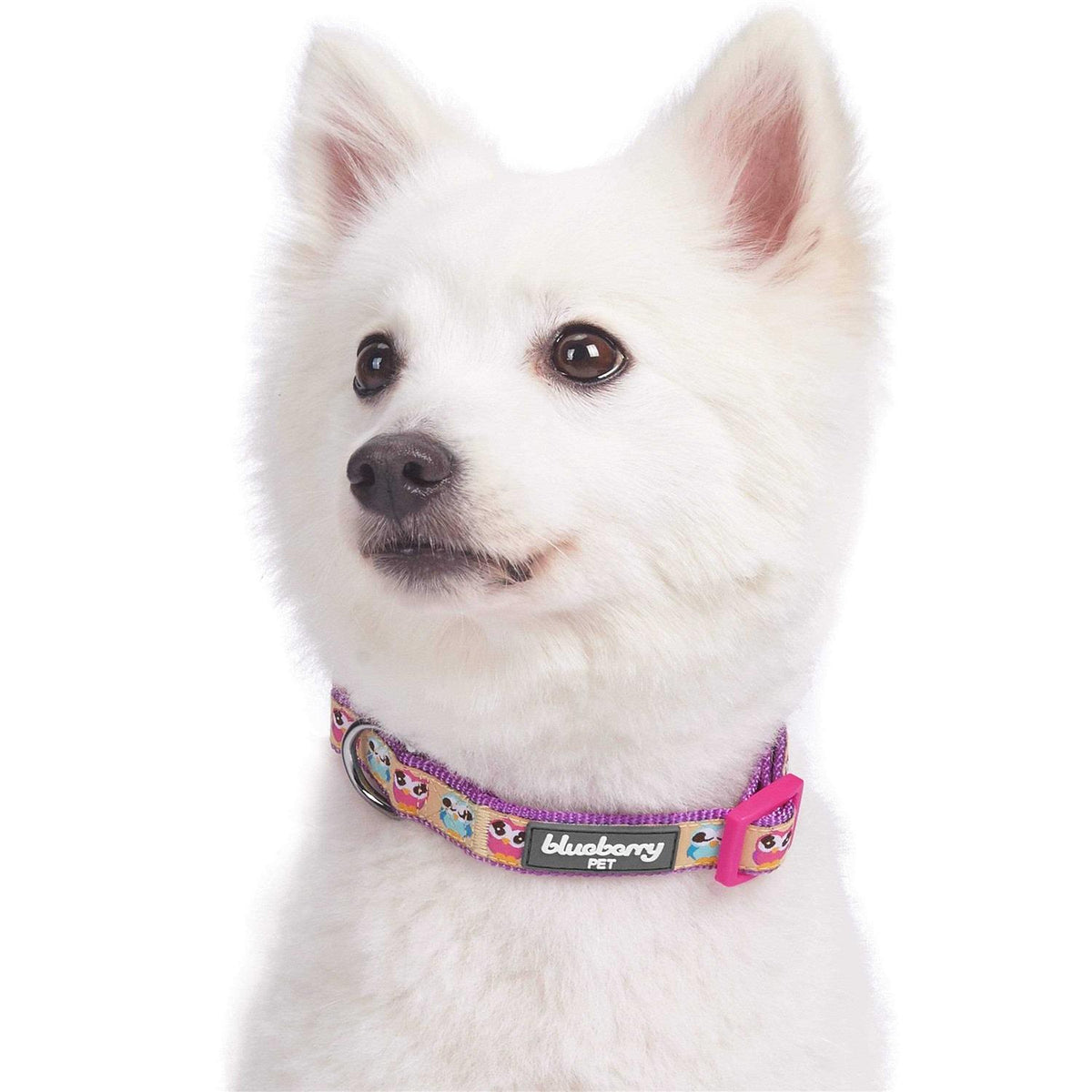 Dog Collar R44919