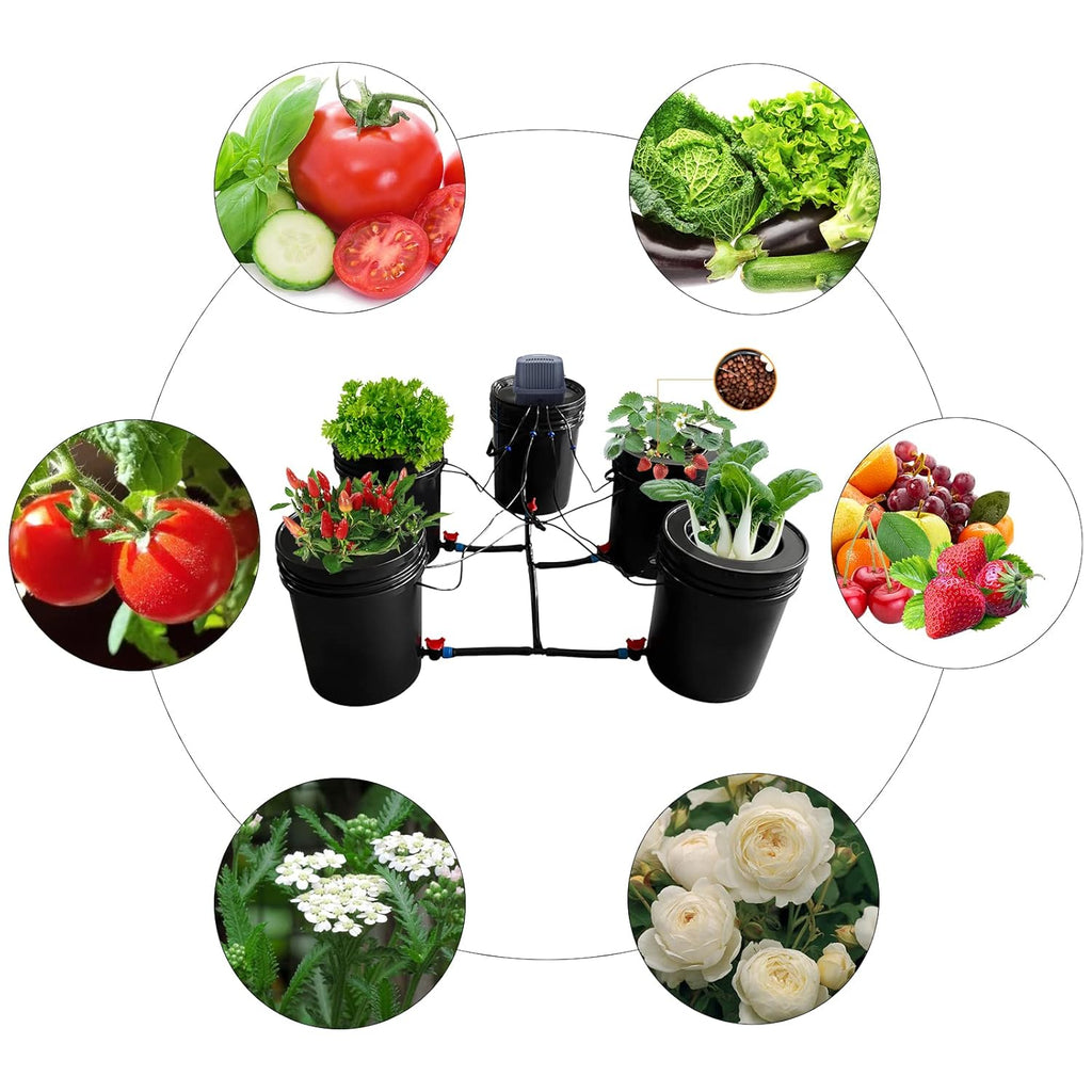 5-Gallon Deep Water Culture Hydroponics Grow System Kit with 5 Buckets C8085