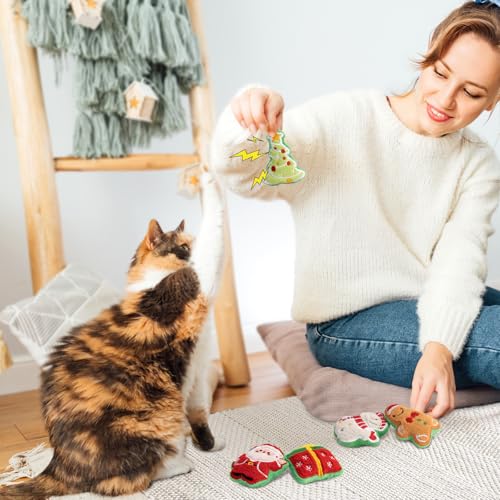 Catnip Cat Toys 5 Pack J89969