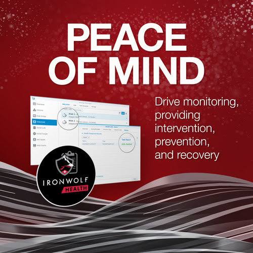 2TB Internal NAS HDD Y69398