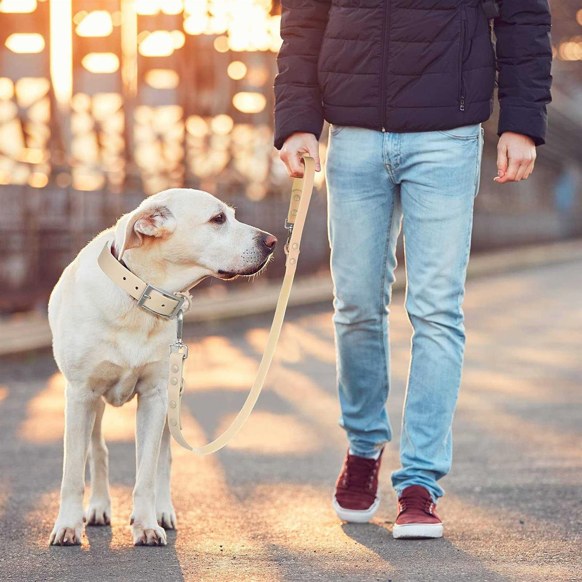 Waterproof Dog Leash with 2 Hooks F674539