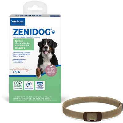 Long-acting Collar Medium/large E34921