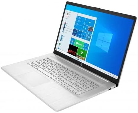 17.3" HD+ Touchscreen Laptop, AMD Athlon Gold 3150U, 8GB RAM, 256GB SSD, Natural Silver H72493