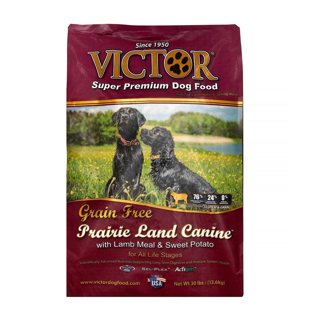 Grain Free Lamb Meal Dry Dog Food V4043