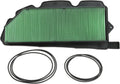 Air Filter Pack of 2 S610