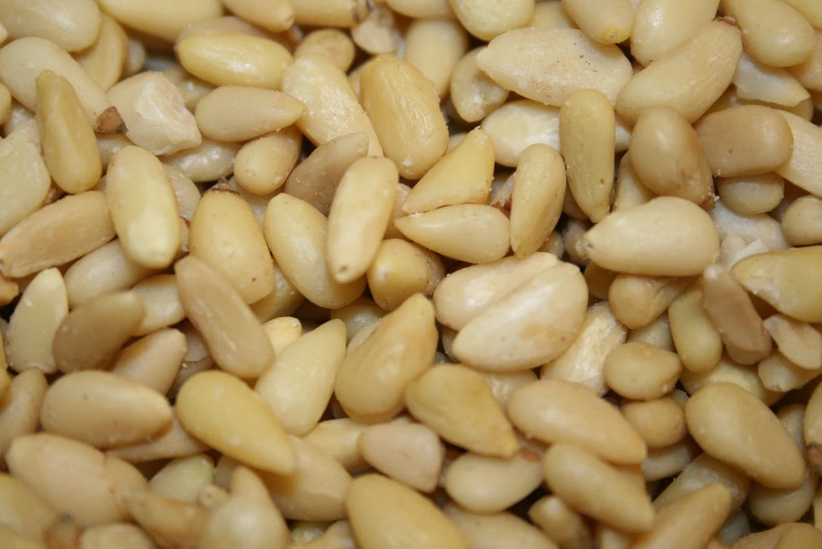 Pine Nuts, 1LB T594