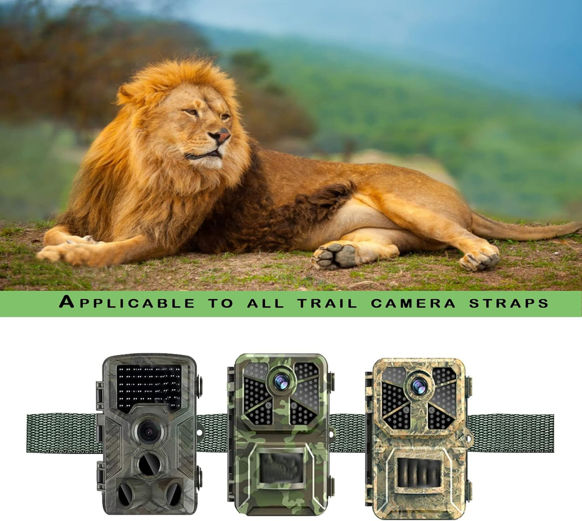 4 Pack Nylon Trail Camera Straps with Alloy Buckle L587676