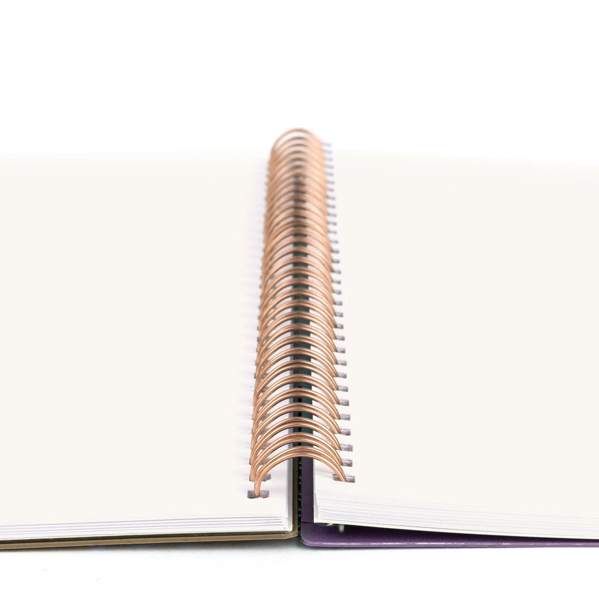 Large Weekly Monthly Planner F436