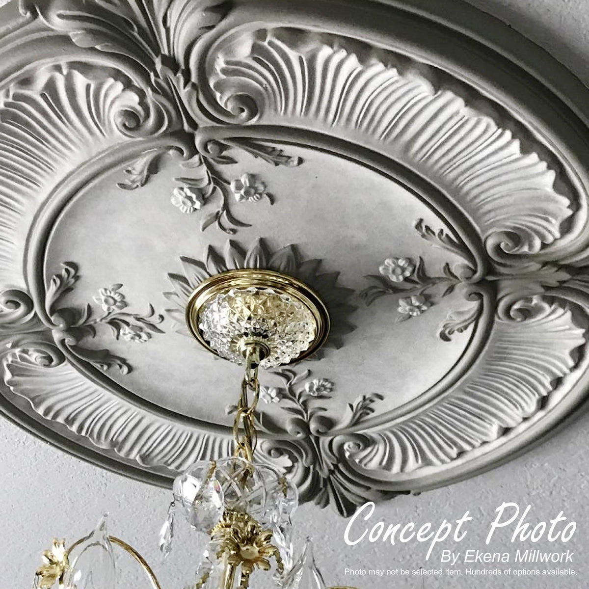 Ceiling Medallion Y58845