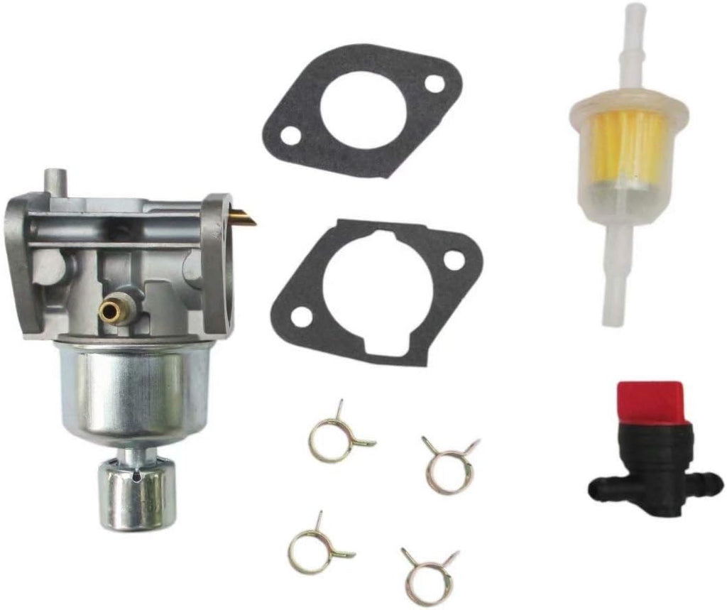 Carburetor with Gaskets E771057