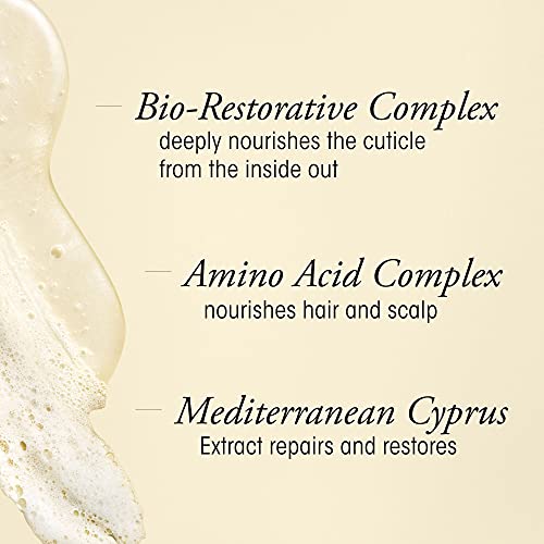 Shampoo and Conditioner Travel Bundle A407017