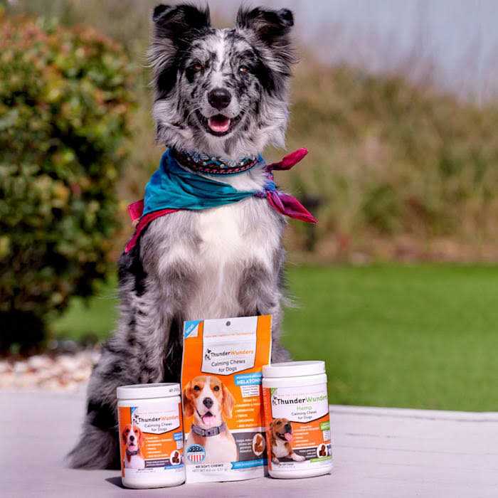 Hemp Calming Chews P9575