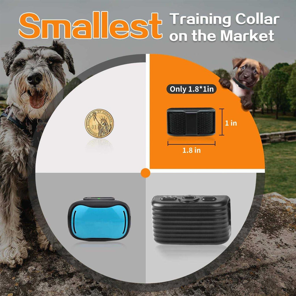 Dog Training Collar with Remote I862