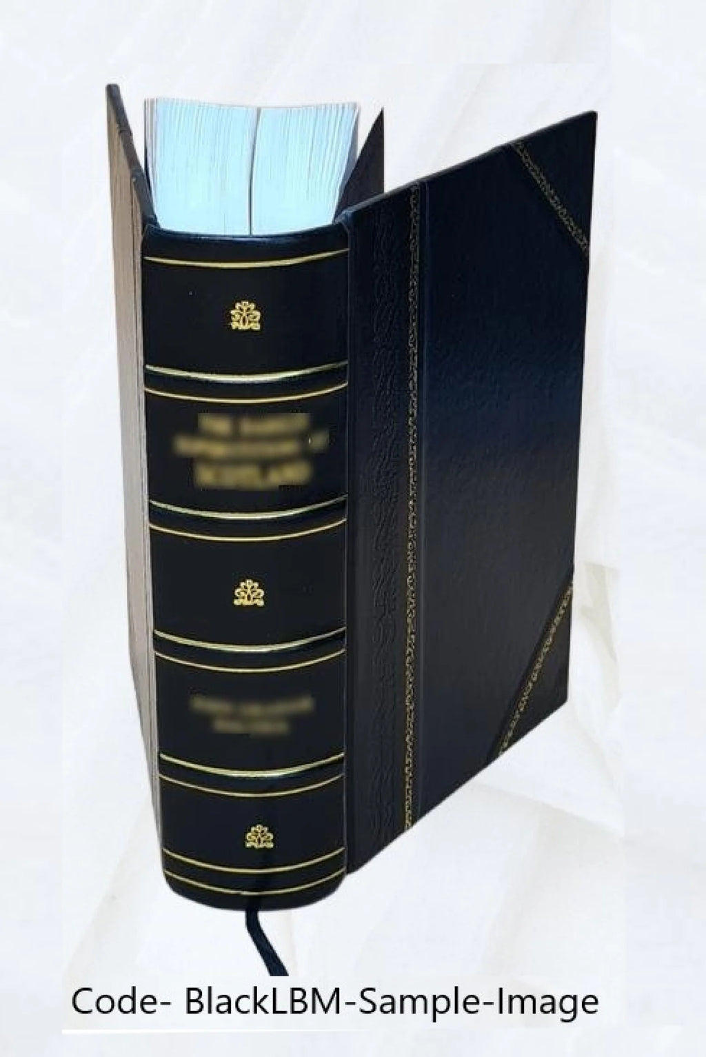 Leather Bound Book I659