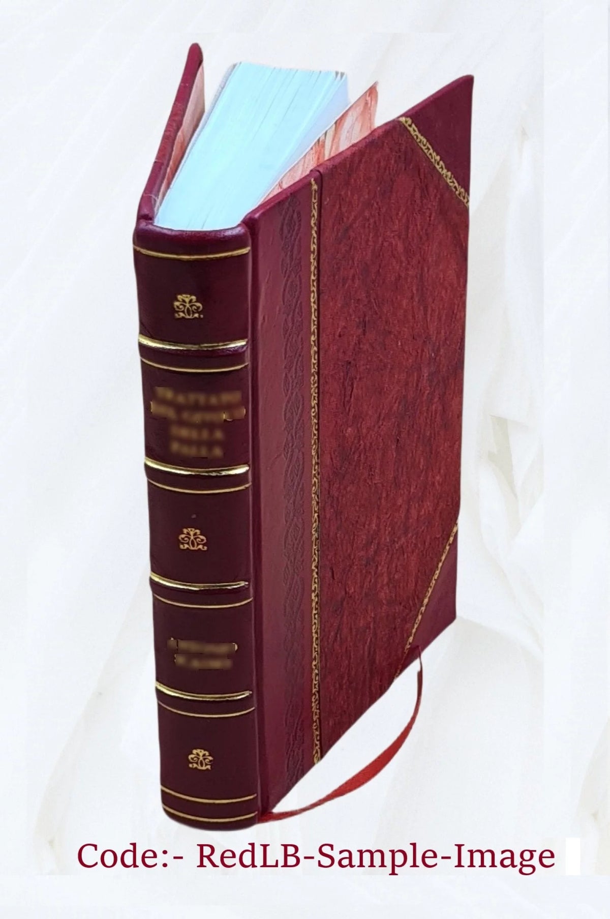 Britain's Lost Centuries Leather Bound E734