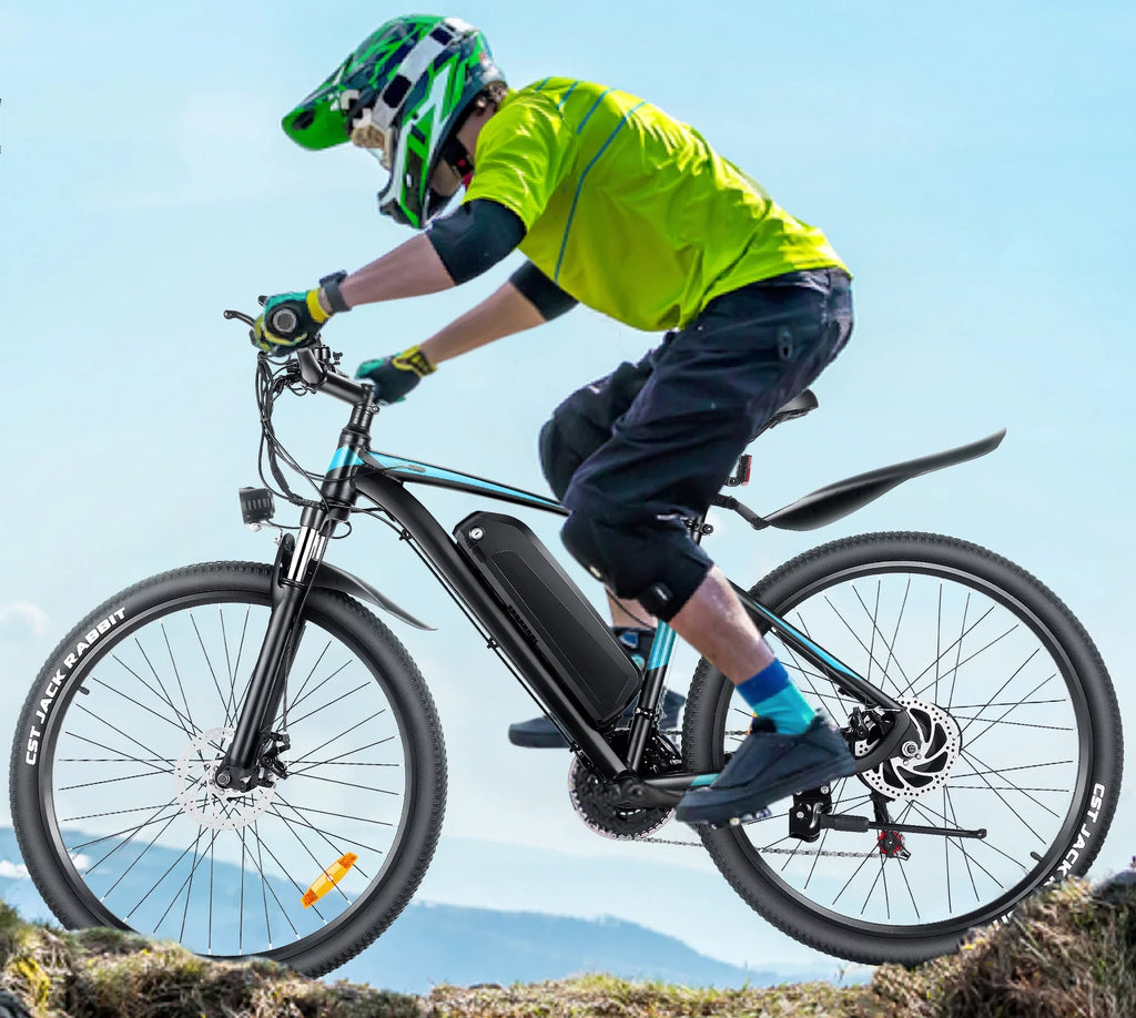 27.5" 500W Electric Bike with 48V 10.4AH Removable Battery E514914