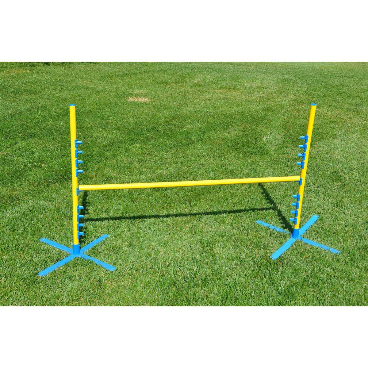 Dog Training Pedestal Jump G837