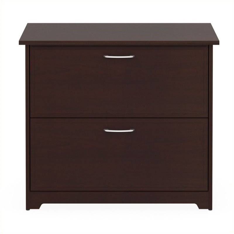 2 Drawer Lateral File Cabinet in Harvest Cherry D94268
