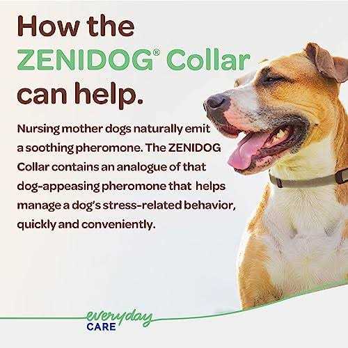 Long-acting Collar Medium/large E34921