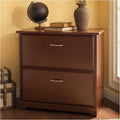 2 Drawer Lateral File Cabinet in Harvest Cherry D94268